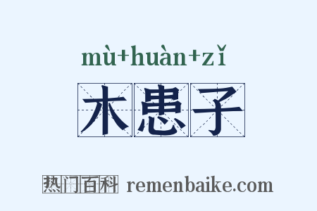 木患子是什么意思的图片